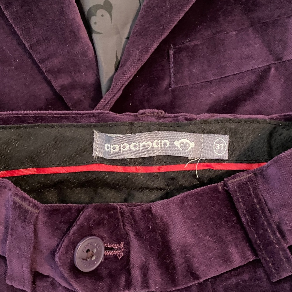Appaman Kids Velvet Blazer and Pants Suit - Picture 3 of 7